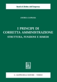 Immagine 0 di Principi Di Corretta Amministrazione