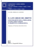 Immagine 0 di Lato Grigio Del Diritto