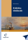 Immagine 0 di Diritto Sindacale 4ed.