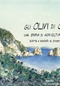 Immagine 0 di Olivi Di Capri Ita