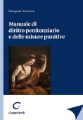 Immagine 0 di Manuale Diritto Penitenziario Misure Pun