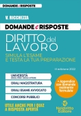 Immagine 0 di Domande Risposte Diritto Lavoro 2 Prova