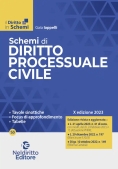 Immagine 0 di Schemi Diritto Processuale Civile 2023