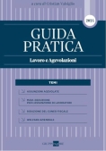 Immagine 0 di Guida Pratica Agevolazioni Lavoro 2024