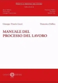 Immagine 0 di Manuale Del Processo Del Lavoro