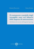 Immagine 0 di Trattamento Contabile Intangible Asset