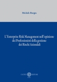 Immagine 0 di Enterprice Risk Managment