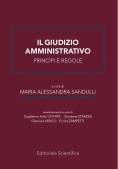 Immagine 0 di Giudizio Amministrativo