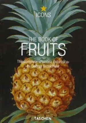 Book Of Fruits. Ediz. Italiana, Spagnola E Portoghese (the) fronte