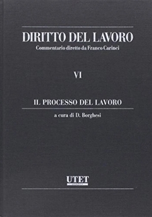 Diritto Del Lavoro Vi fronte