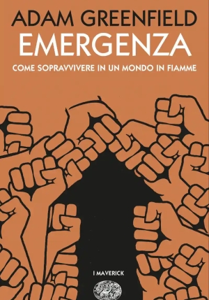 Emergenza fronte