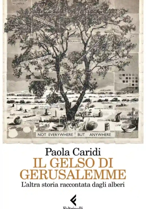 Alberi Di Gerusalemme (gli) fronte