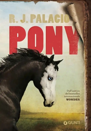 Pony fronte