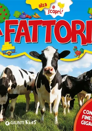 Fattoria (la) fronte