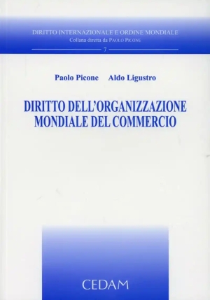 Diritto Dell'organizzazione fronte