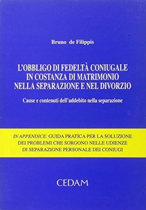 Obbligo Fedelta Coniugale fronte