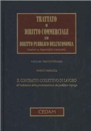 Trattato Diritto Comm.le 38 fronte