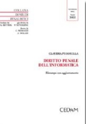 Diritto Penale Informatica fronte