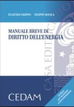 Manuale Breve Dir. Energia fronte