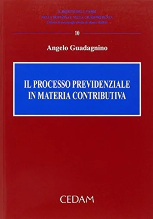 Processo Previdenziale fronte