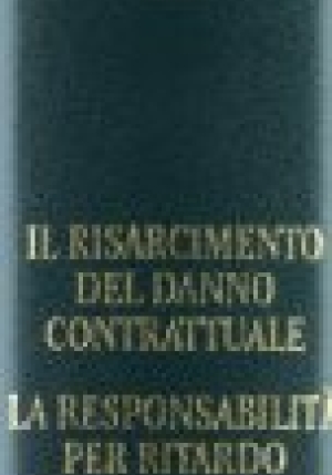 Risarcimento Del Danno fronte