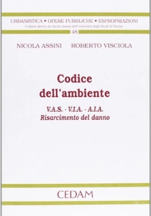 Codice Dell'ambiente fronte