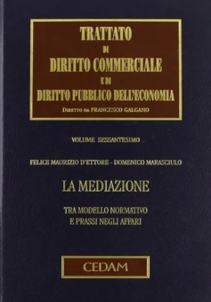 Trattato Diritto Comm.le 60 fronte