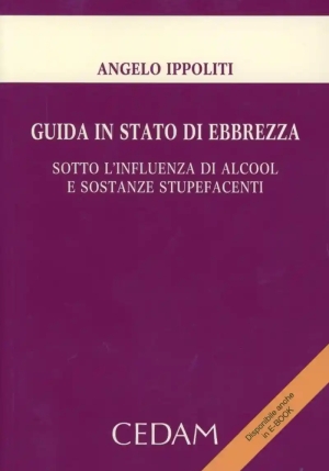 Guida Stato Ebbrezza fronte