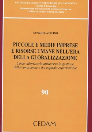 Piccole E Medie Imprese E Ris. fronte