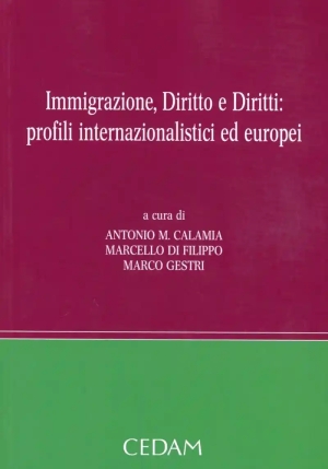 Immigrazione Diritto E Diritti fronte