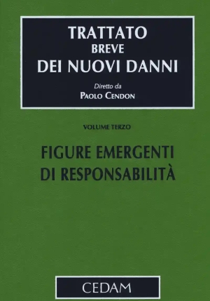 Trattato Breve Nuovi Danni V.3 fronte