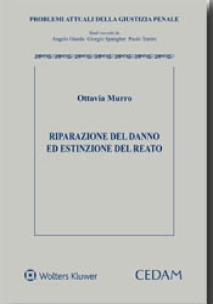 Riparazione Del Danno fronte