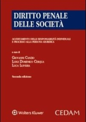 Diritto Penale Delle Societa' fronte