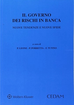 Governo Rischi In Banca Nuove Tendenze fronte