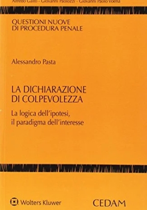 Dichiarazione Di Colpevolezza fronte