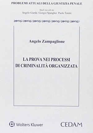 Prova Processi Crim.organizz fronte