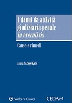 Danni Da Attivita' Giud. fronte