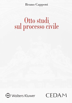 Otto Studi Sul Processo Civile fronte