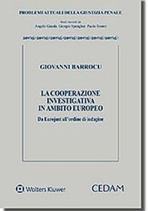 Cooperazione Investigativa fronte