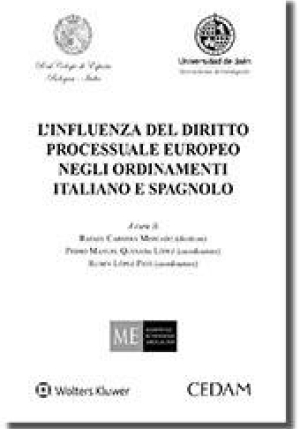 Influenza Del Diritto Proc. fronte