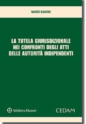 Tutela Giurisdizionale fronte