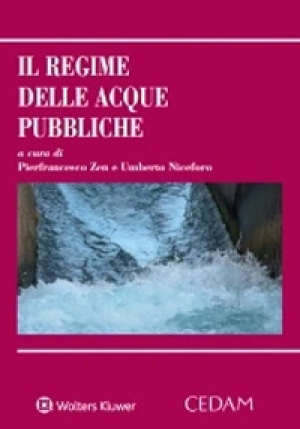 Regime Delle Acque Pubbliche fronte