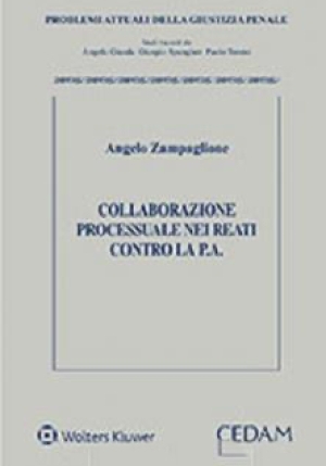 Collaborazione Processuale fronte