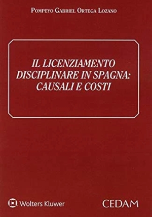 Licenziamento Disciplinare fronte