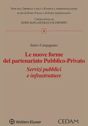 Nuove Forme Del Partenariato fronte