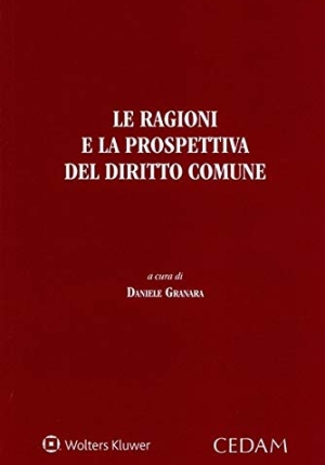 Ragioni E Prospettiva Del Dir. fronte