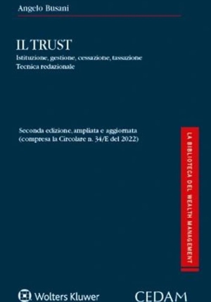 Trust Istituzione Gestione Cessazione fronte