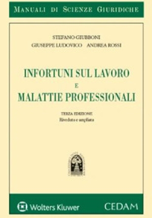 Infortuni Sul Lavoro E Malattie Professionali fronte