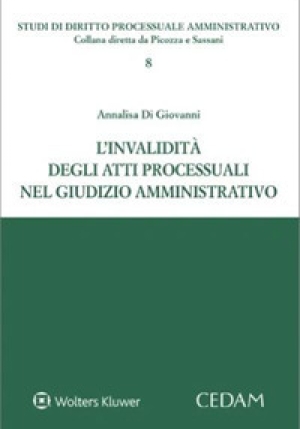 Invalidita' Atti Processuali Giudizio Am fronte