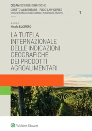 Tutela Internazionale Delle In fronte